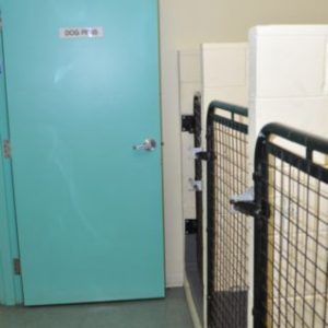 vet_2
